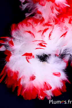 Frange dinde - long. plumes 10 cm - blanc pointe rouge